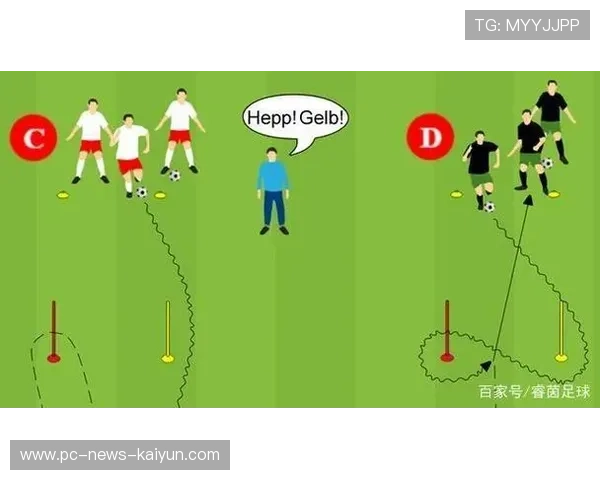 球员训练中的数据图被公开，科学训练理念被普及