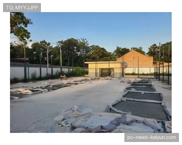 足球场馆安全通行路径的残障友好设计实例，足球比赛场馆